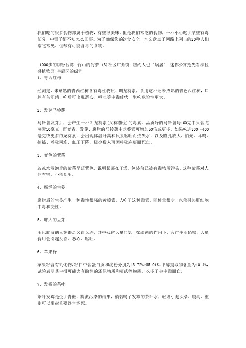 这二十种食物吃错会要命