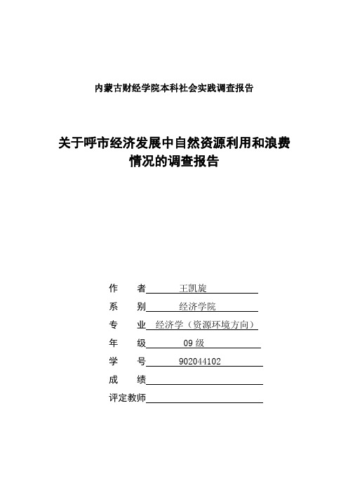 关于呼市经济发展中自然资源利用和浪费情况的调查报告