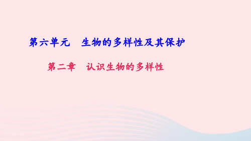 八年级生物上册第六单元第二章认识生物的多样性习题课件