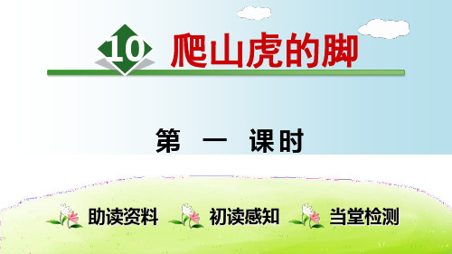 (部编版)爬山虎的脚PPT优秀课件1