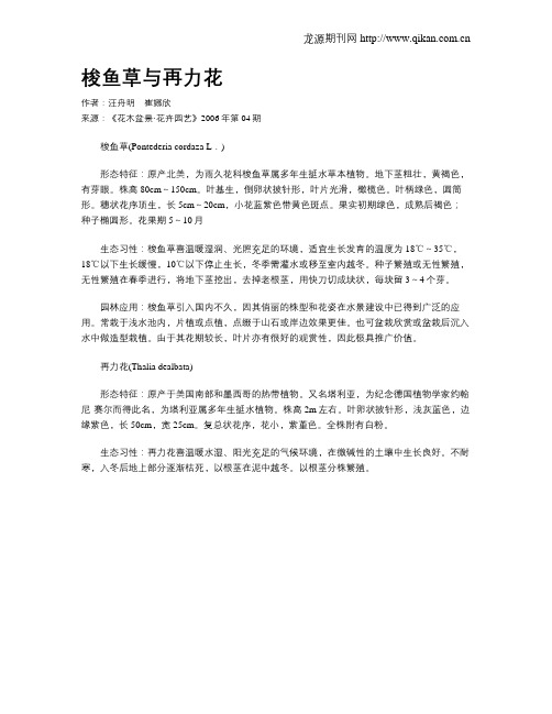 梭鱼草与再力花