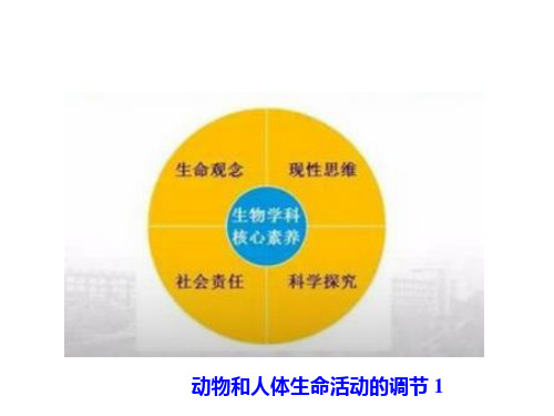 2021高考生物总复习三十三天(三十二)动物和人体生命活动的调节1课件