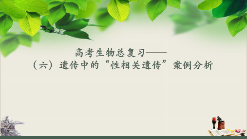 高考生物总复习之遗传中的“性相关遗传”案例ppt优质课件