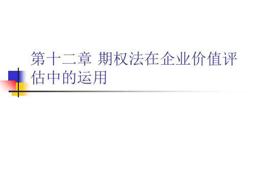 第12章期权法在企业价值评估中的运用