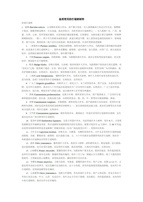 昆明常用的行道树树种