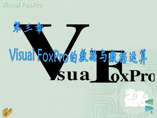 VFP第3章 Visual FoxPro数据和数据运算-PPT课件