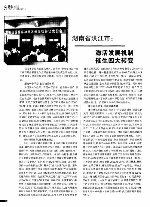 湖南省洪江市：激活发展机制  催生四大转变