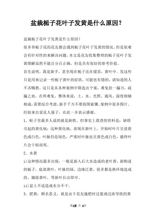 盆栽栀子花叶子发黄是什么原因？