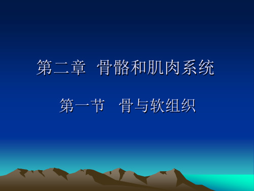 影像学(骨骼肌肉系统1)