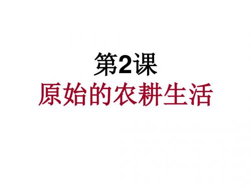 人教部编版七年级上册第2课原始的农耕生活课件(26张)