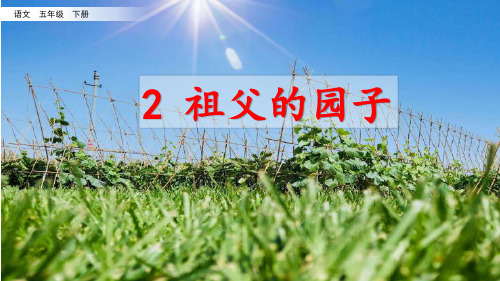 五年级下册语文课件-2 祖父的园子 部编版(共17张PPT)