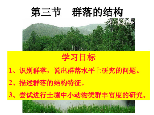 群落的结构PPT精品课件