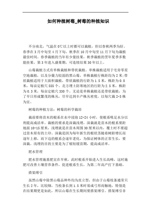 树莓的种植知识