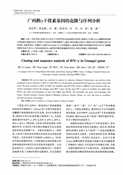广西鹅γ干扰素基因的克隆与序列分析