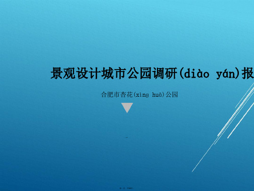 合肥市杏花公园景观设计调研报告