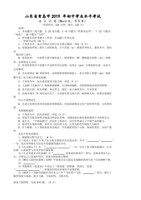 2019年山东省青岛市中考语文试题及答案