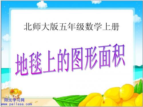 地毯上的面积1ppt