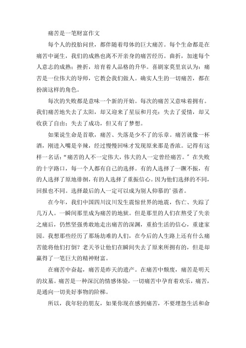 中小学痛苦是一笔财富作文