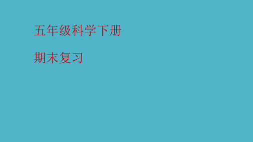 粤教版五年级科学下册知识点