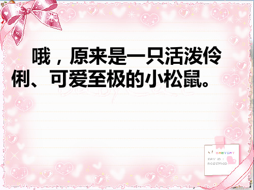 (精选)四年级语文上册 第五单元 那只松鼠课件4 西师大版