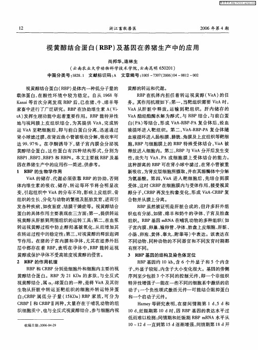 视黄醇结合蛋白(RBP)及基因在养猪生产中的应用