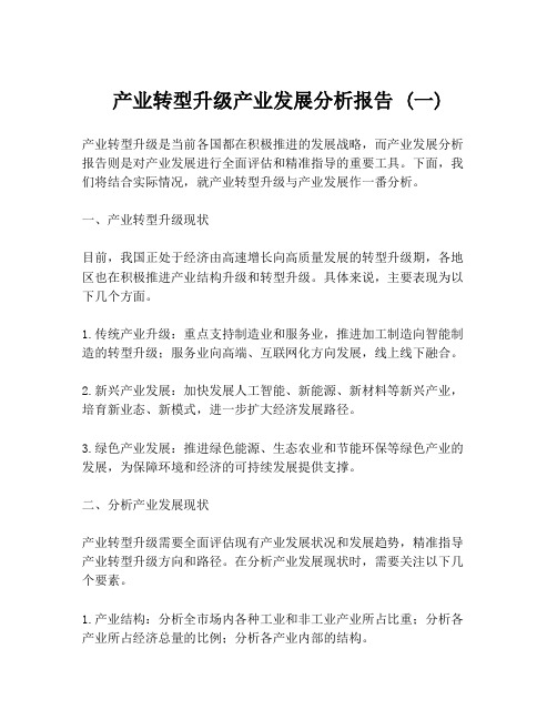 产业转型升级产业发展分析报告 (一)