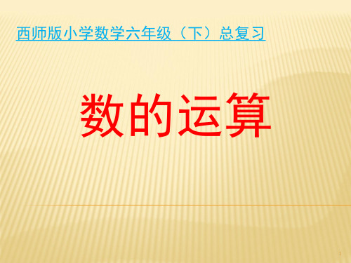 小学六年级数学总复习数的运算整理与复习(课堂PPT)