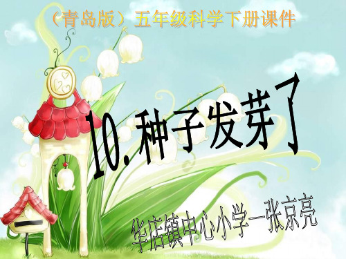 10《种子发芽了》