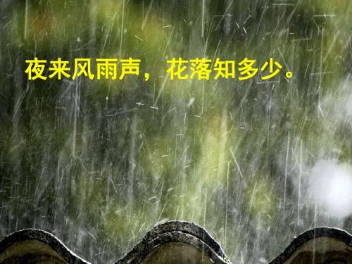 苏教_五年级下册习作一_写一种自然现象[1]
