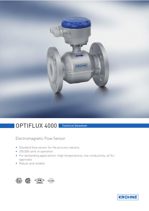 OPTIFLUX4000_En