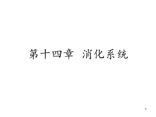 人体解剖生理学消化系统.PPT