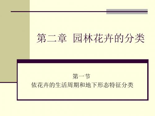2第二章园林花卉的分类1