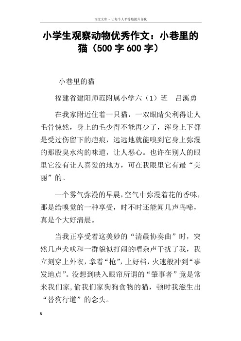 小学生观察动物优秀作文小巷里的猫500字600字