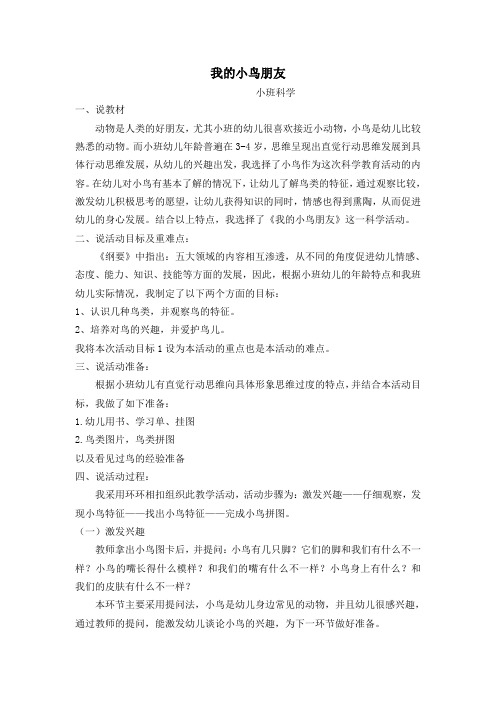 我的小鸟朋友
