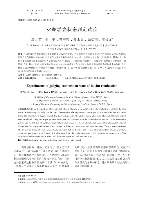 火驱燃烧状态判定试验_袁士宝
