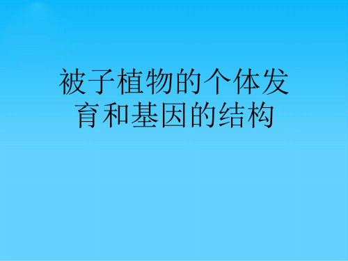 被子植物的个体发育和基因的结构