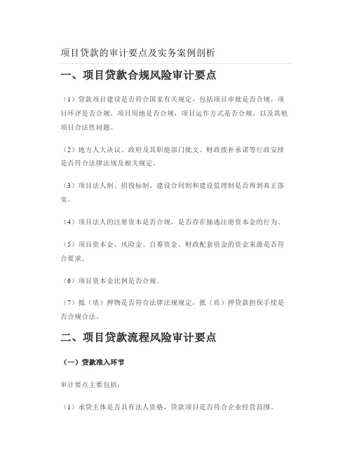 项目贷款的审计要点及实务案例剖析