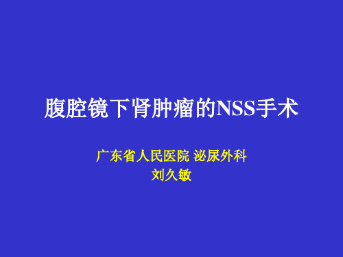 NSS