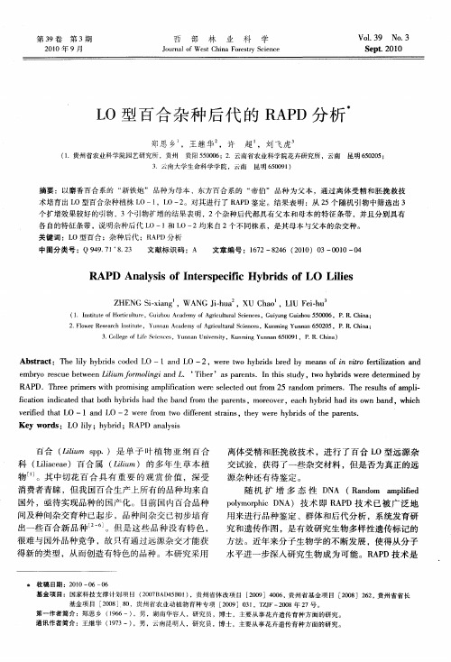 LO型百合杂种后代的RAPD分析