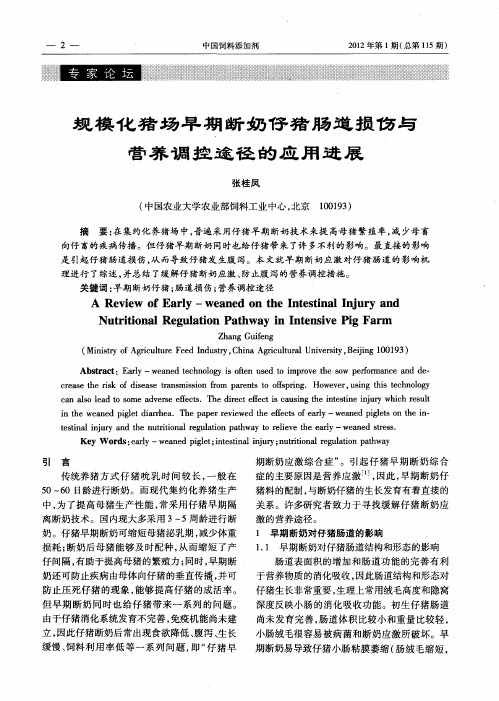规模化猪场早期断奶仔猪肠道损伤与营养调控途径的应用进展