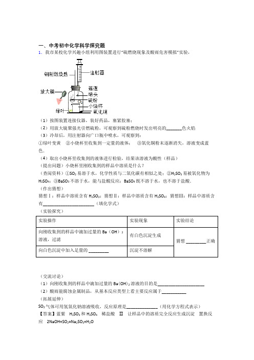 2020-2021中考化学综合题专练∶探究题含答案