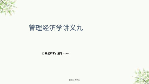 管理经济学九课件