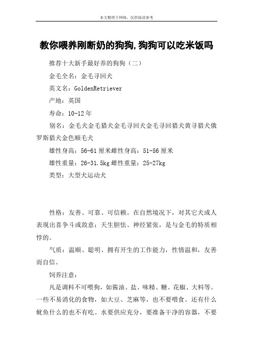 教你喂养刚断奶的狗狗,狗狗可以吃米饭吗