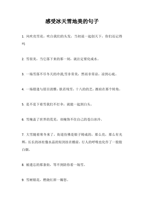 感受冰天雪地美的句子