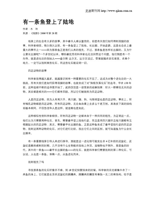 有一条鱼登上了陆地
