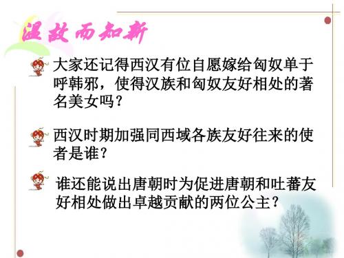 【初中历史】民族团结PPT课件16 中图版
