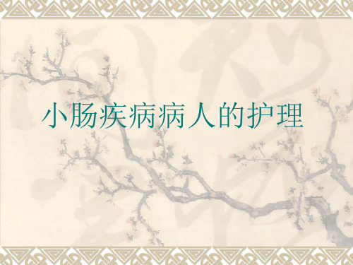 小肠疾病病人的护理 PPT课件
