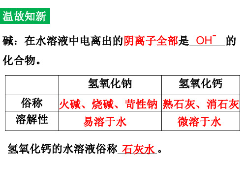 碱的化学性质