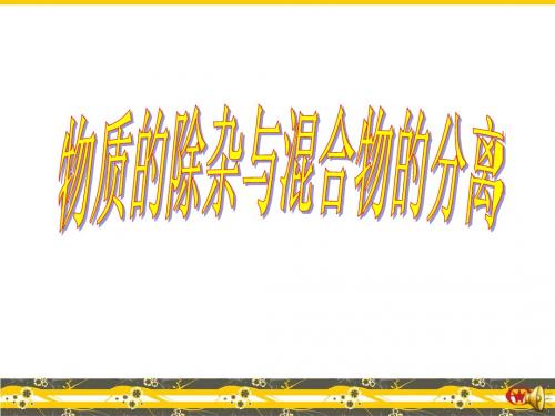 中考复习专题之除杂课件