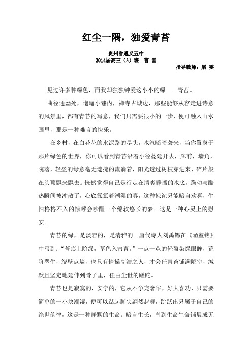红尘一隅,独爱青苔 2